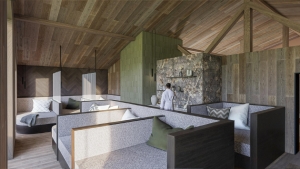 Spa and Wellness 