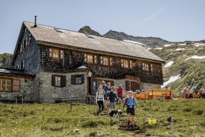 Apartment and Chalet 