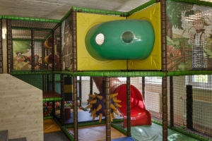 Apartment and Chalet 