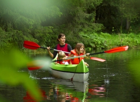 Apartment and Chalet 