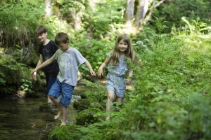 Apartment and Chalet 