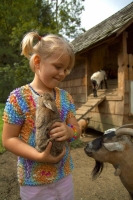 Apartment and Chalet 