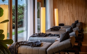Spa and Wellness 