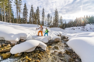 Landscape © Hochkönig Bildbank