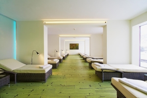 Spa and Wellness 