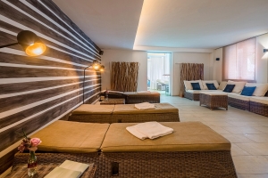 Spa and Wellness 