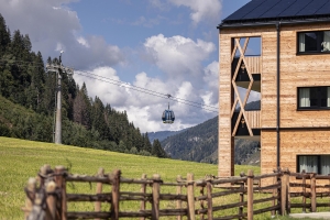 Apartment and Chalet 