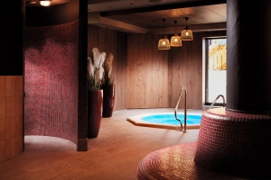 Spa and Wellness 