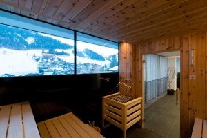 Spa and Wellness 