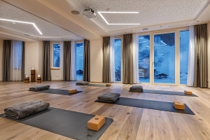 Apartment and Chalet 