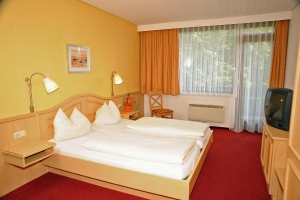 Apartment and Chalet 