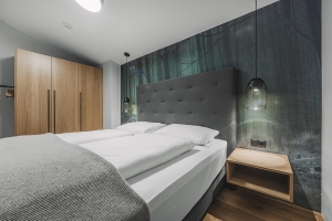 Apartment and Chalet 