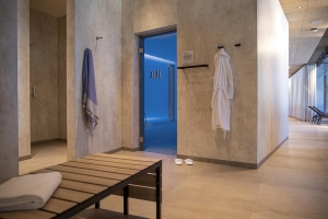 Spa and Wellness 